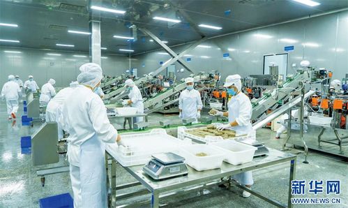 重慶榮昌 頭尾相連 串出農業價值鏈